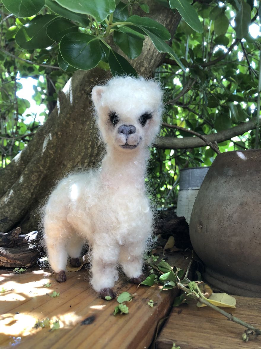 I’m A Self-Taught Australian Needle Felt Artist That Loves Animals I’m A Self-Taught Australian Needle Felt Artist That Loves Animals