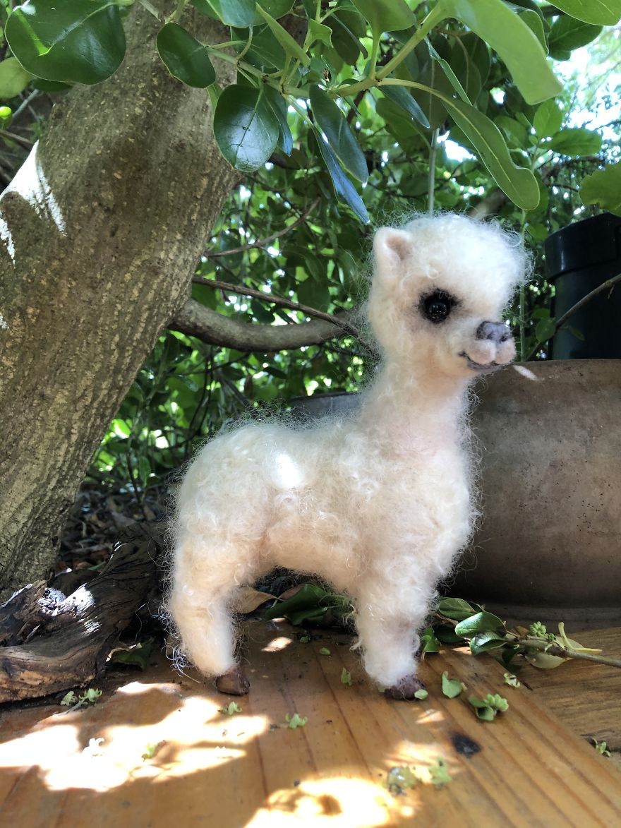 I’m A Self-Taught Australian Needle Felt Artist That Loves Animals I’m A Self-Taught Australian Needle Felt Artist That Loves Animals