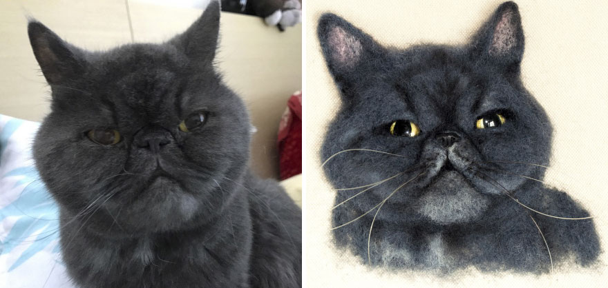 I Create Realistic Pet Portraits From Felted Wool I Create Realistic Pet Portraits From Felted Wool