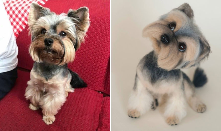 I Create Realistic Pet Portraits From Felted Wool I Create Realistic Pet Portraits From Felted Wool