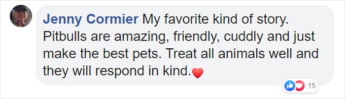 Woman Was Scared Of Neighbor&#8217;s Pit Bull, Until He Saved Her When She Was In Trouble