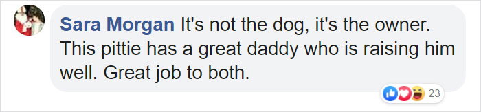 Woman Was Scared Of Neighbor&#8217;s Pit Bull, Until He Saved Her When She Was In Trouble