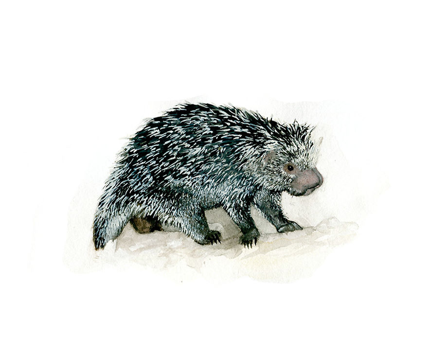 One Of My Realistic Painted Animals For Brno Zoo In The Czech Republic One Of My Realistic Painted Animals For Brno Zoo In The Czech Republic