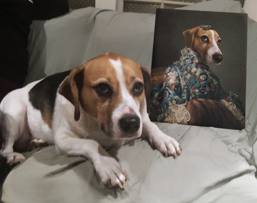 Everybody Is Getting Renaissance Portraits Of Their Pets