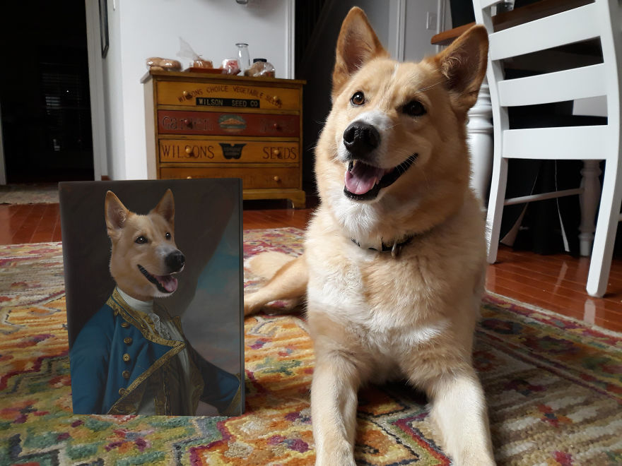 Everybody Is Getting Renaissance Portraits Of Their Pets