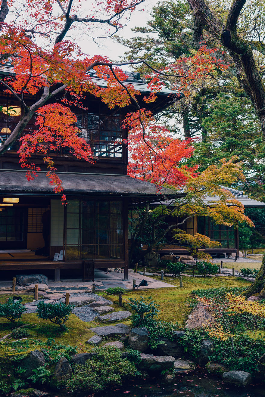 I Photograph The Amazing Autumn Colors Of Kyoto I Photograph The Amazing Autumn Colors Of Kyoto