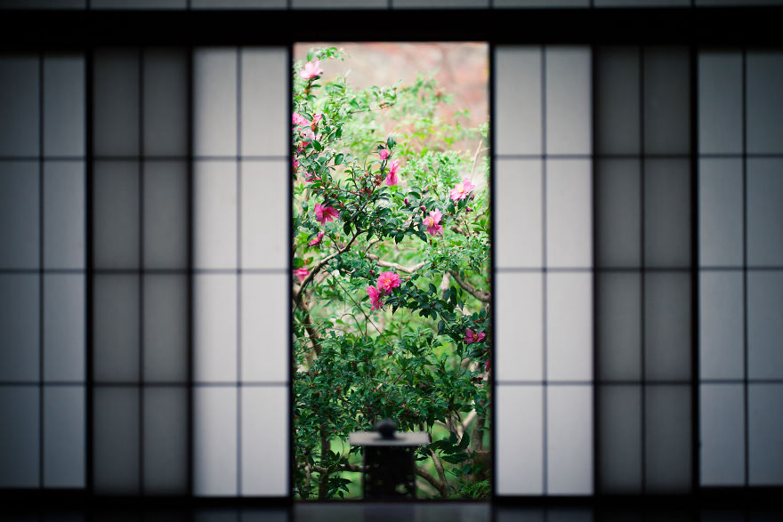 I Photograph The Amazing Autumn Colors Of Kyoto I Photograph The Amazing Autumn Colors Of Kyoto