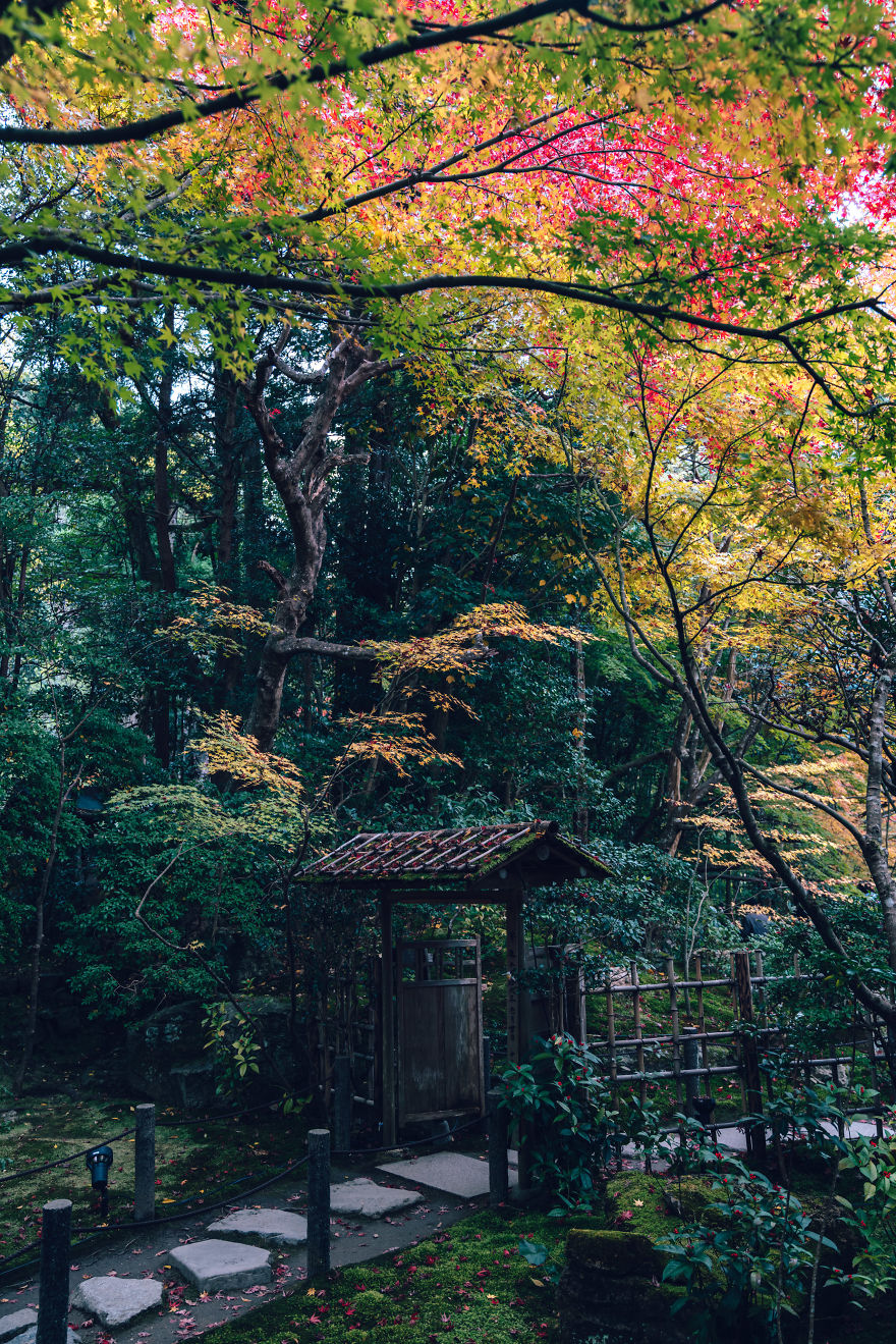 I Photograph The Amazing Autumn Colors Of Kyoto I Photograph The Amazing Autumn Colors Of Kyoto