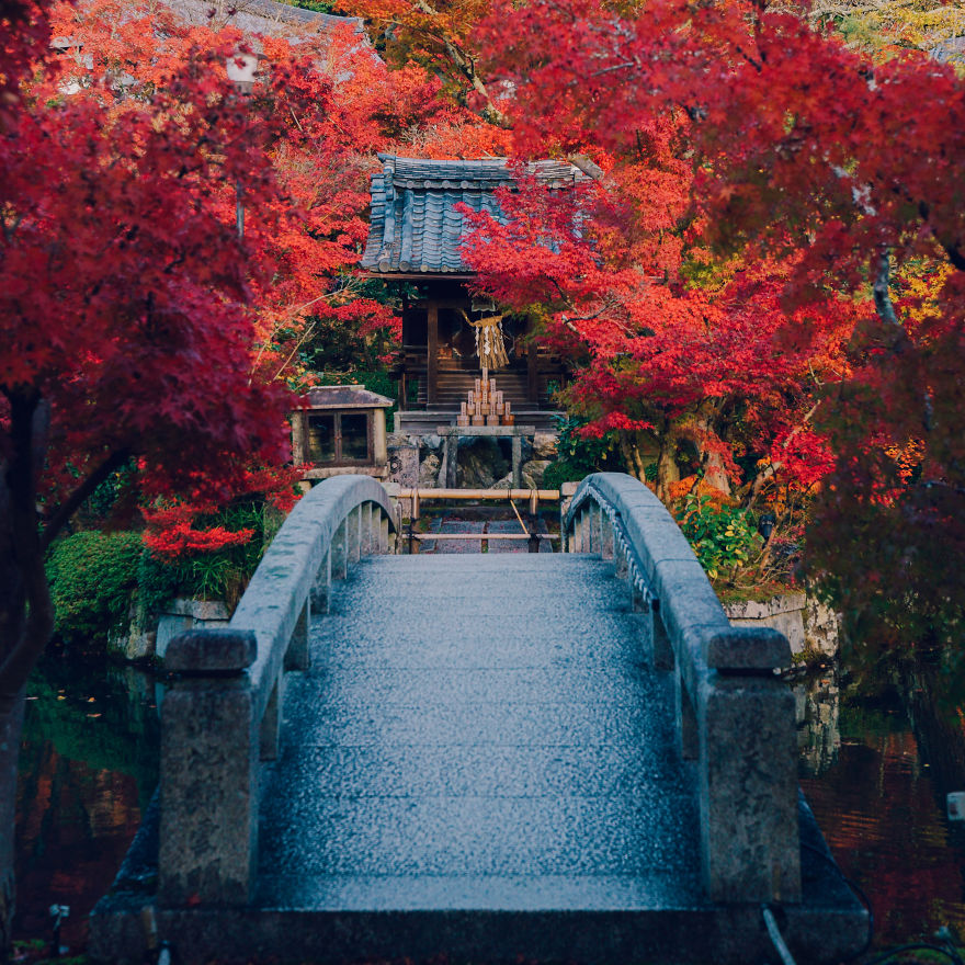 I Photograph The Amazing Autumn Colors Of Kyoto I Photograph The Amazing Autumn Colors Of Kyoto
