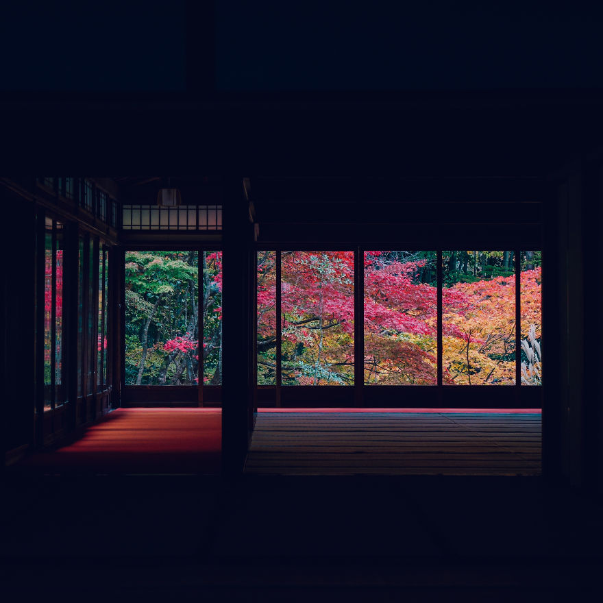 I Photograph The Amazing Autumn Colors Of Kyoto I Photograph The Amazing Autumn Colors Of Kyoto