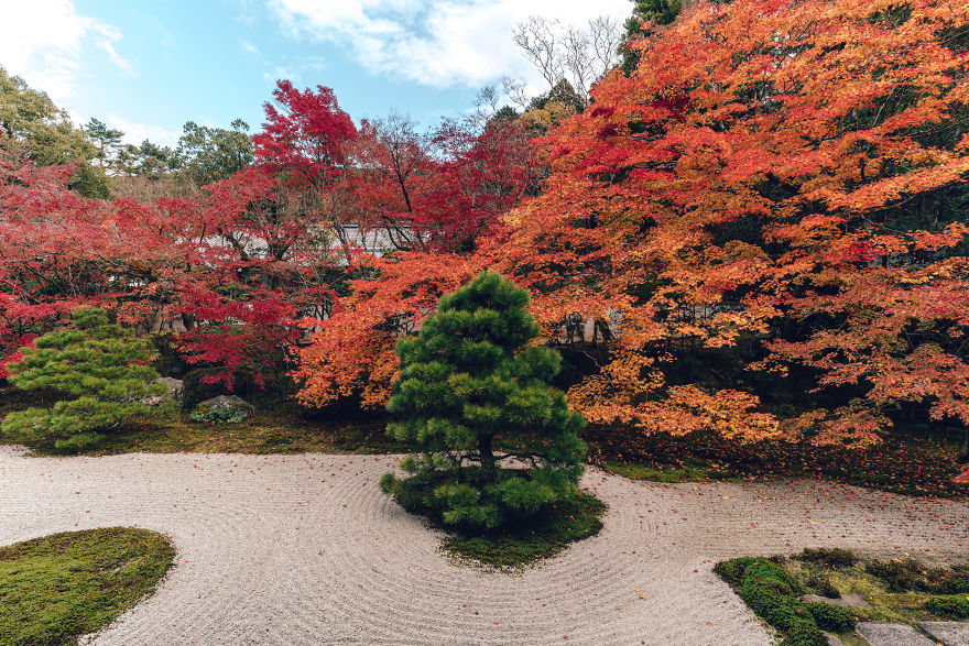 I Photograph The Amazing Autumn Colors Of Kyoto I Photograph The Amazing Autumn Colors Of Kyoto