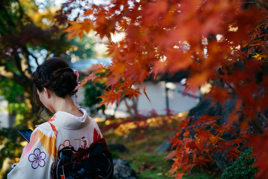 I Photograph The Amazing Autumn Colors Of Kyoto I Photograph The Amazing Autumn Colors Of Kyoto