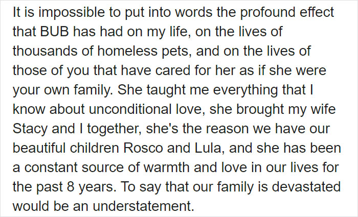 The Owner Of An Internet-Famous Cat Lil Bub Shares A Heartwarming Message To Announce Her Death The Owner Of An Internet-Famous Cat Lil Bub Shares A Heartwarming Message To Announce Her Death