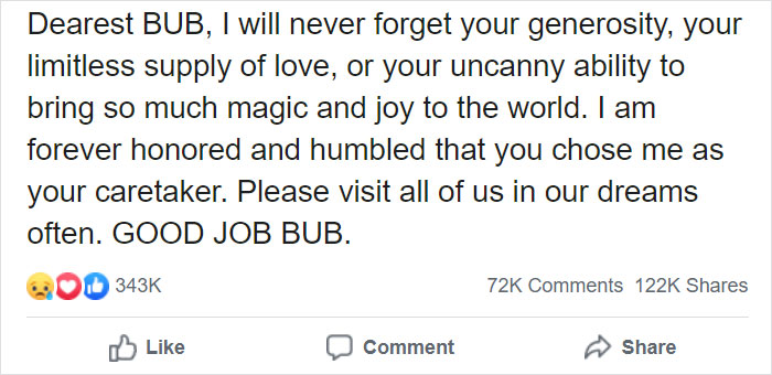 The Owner Of An Internet-Famous Cat Lil Bub Shares A Heartwarming Message To Announce Her Death The Owner Of An Internet-Famous Cat Lil Bub Shares A Heartwarming Message To Announce Her Death
