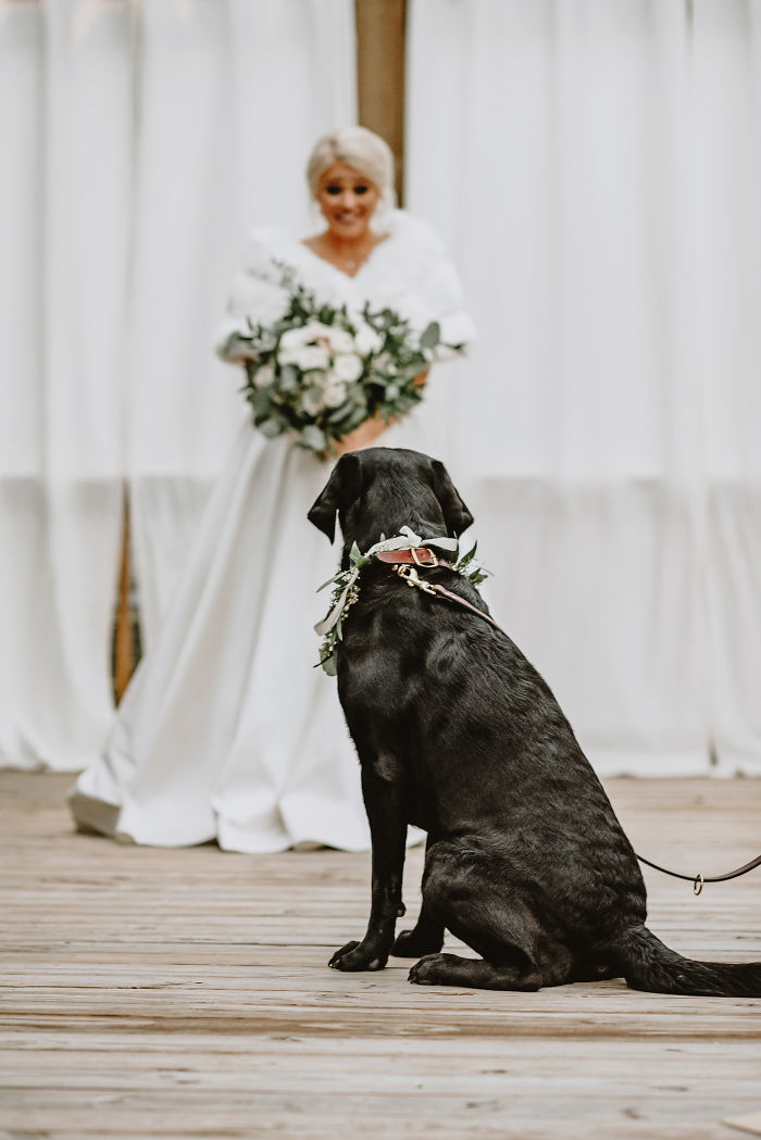 Bride’s Decision To Bring Her Dog To Her ‘First Look’ Photoshoot Makes The Pics Go Viral Bride’s Decision To Bring Her Dog To Her ‘First Look’ Photoshoot Makes The Pics Go Viral