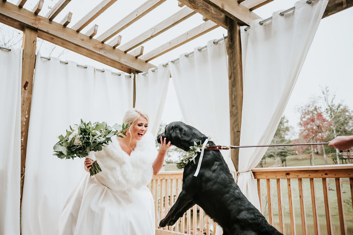 Bride’s Decision To Bring Her Dog To Her ‘First Look’ Photoshoot Makes The Pics Go Viral Bride’s Decision To Bring Her Dog To Her ‘First Look’ Photoshoot Makes The Pics Go Viral