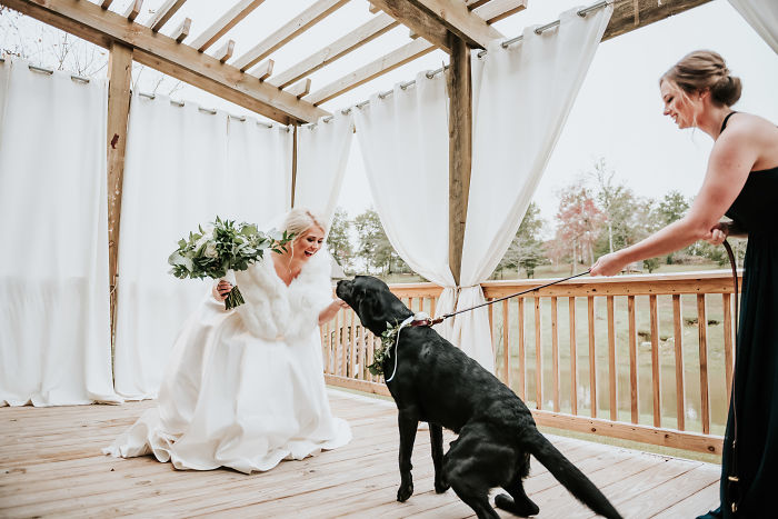 Bride’s Decision To Bring Her Dog To Her ‘First Look’ Photoshoot Makes The Pics Go Viral Bride’s Decision To Bring Her Dog To Her ‘First Look’ Photoshoot Makes The Pics Go Viral
