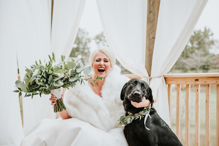 Bride’s Decision To Bring Her Dog To Her ‘First Look’ Photoshoot Makes The Pics Go Viral Bride’s Decision To Bring Her Dog To Her ‘First Look’ Photoshoot Makes The Pics Go Viral