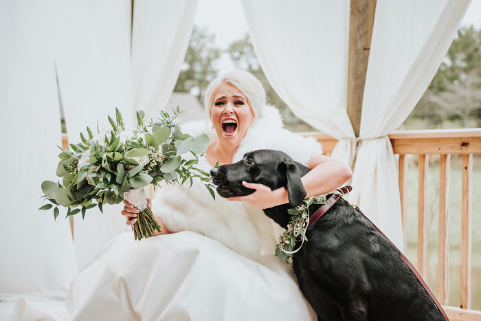 Bride’s Decision To Bring Her Dog To Her ‘First Look’ Photoshoot Makes The Pics Go Viral Bride’s Decision To Bring Her Dog To Her ‘First Look’ Photoshoot Makes The Pics Go Viral