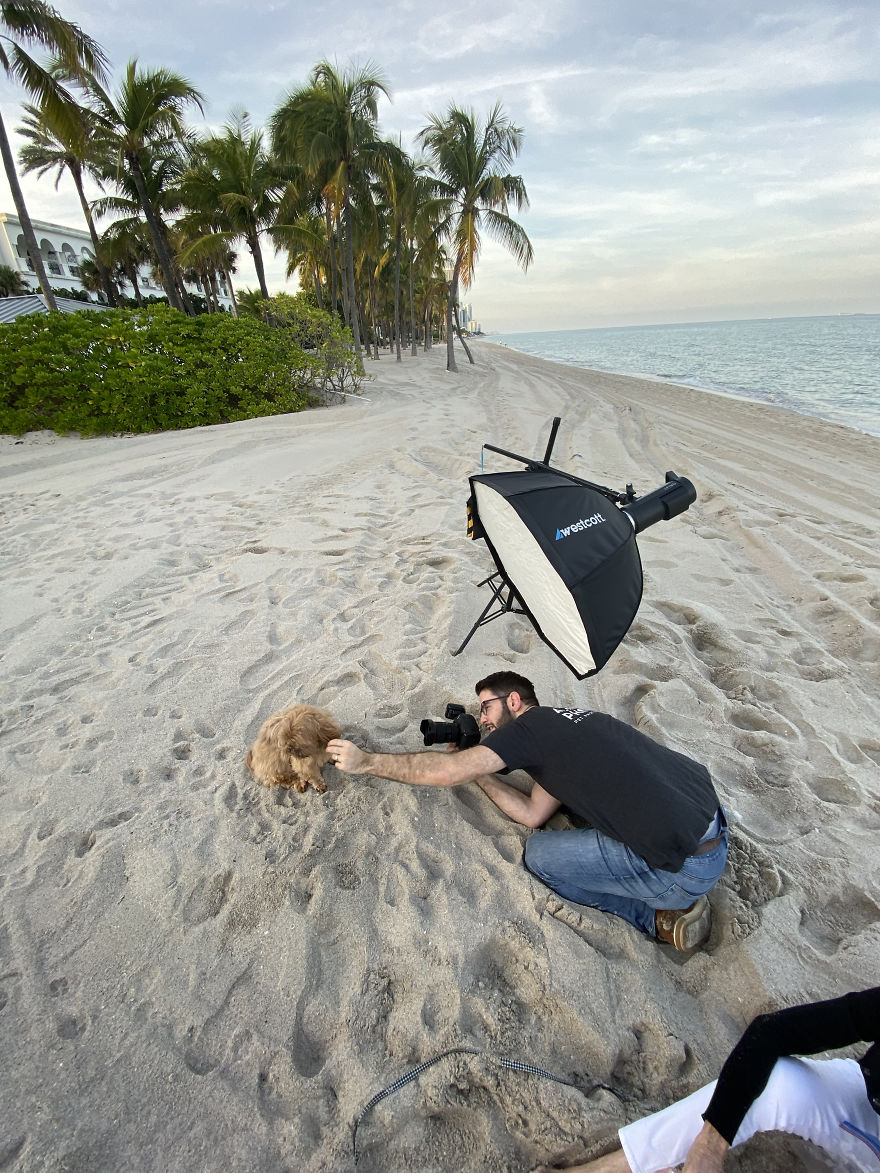 We Took Pictures Of A Doggo In The Beach While The Sun Was Setting