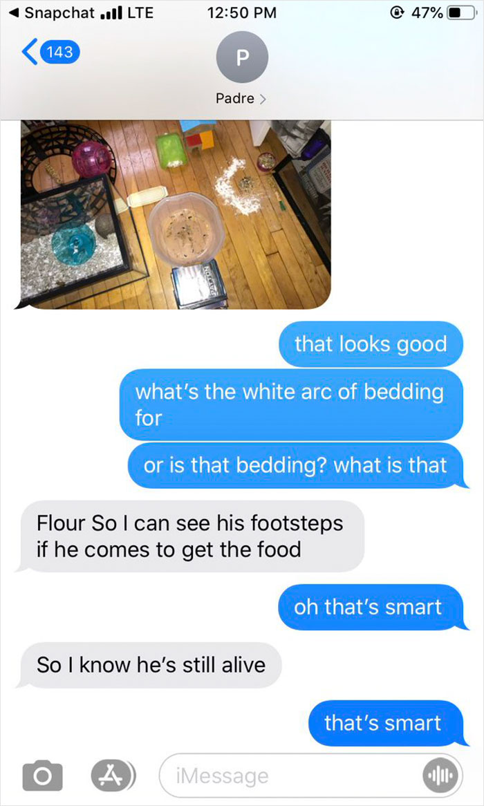 Dad Loses Daughter&#8217;s Hamster, And His Freak-Out Texts Reveal How Pure His Heart Really Is