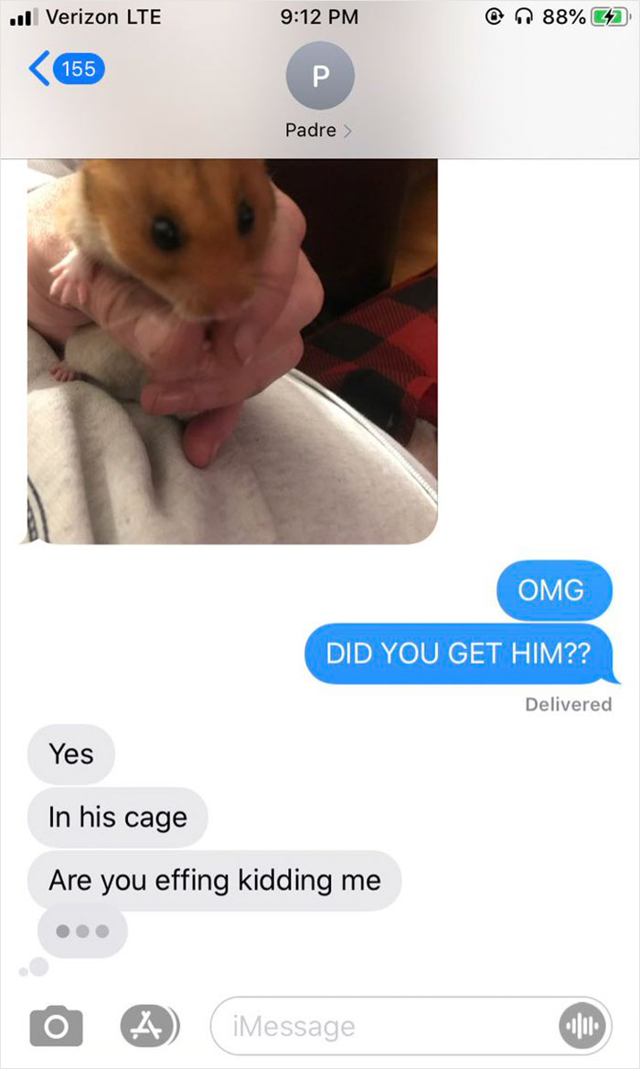Dad Loses Daughter&#8217;s Hamster, And His Freak-Out Texts Reveal How Pure His Heart Really Is