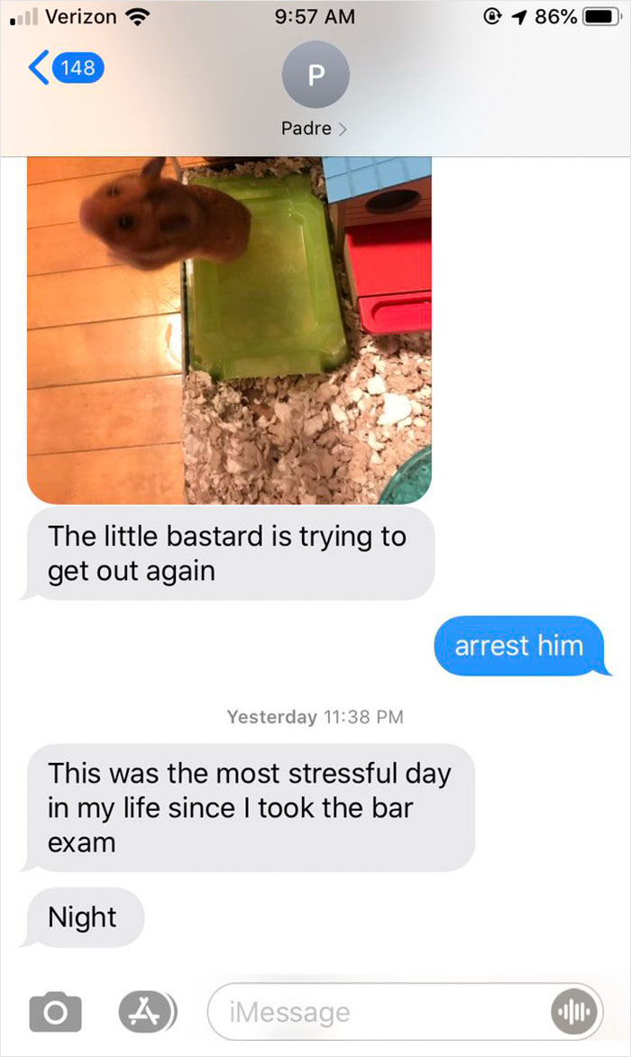 Dad Loses Daughter&#8217;s Hamster, And His Freak-Out Texts Reveal How Pure His Heart Really Is