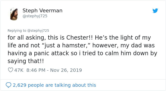 Dad Loses Daughter&#8217;s Hamster, And His Freak-Out Texts Reveal How Pure His Heart Really Is