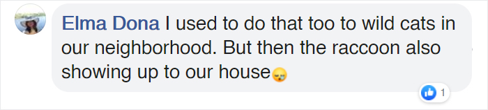 Man Makes Winter Shelters For Stray Cats Out Of Discarded Coolers Man Makes Winter Shelters For Stray Cats Out Of Discarded Coolers