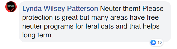 Man Makes Winter Shelters For Stray Cats Out Of Discarded Coolers Man Makes Winter Shelters For Stray Cats Out Of Discarded Coolers