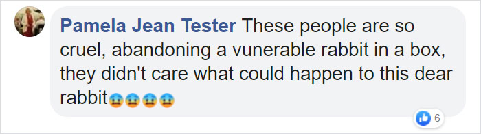 Rescuers Take In An Abandoned Rabbit Clinging To Its Teddy Bear Rescuers Take In An Abandoned Rabbit Clinging To Its Teddy Bear
