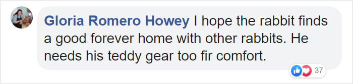 Rescuers Take In An Abandoned Rabbit Clinging To Its Teddy Bear Rescuers Take In An Abandoned Rabbit Clinging To Its Teddy Bear