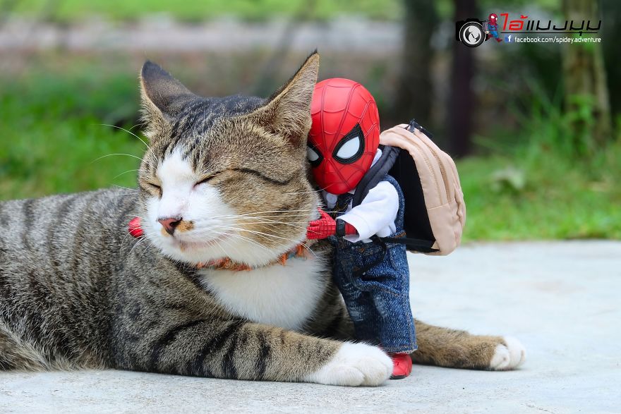 Artist Puts Baby Spiderman And Cats In The Funniest Scenarios (30 Pics) Artist Puts Baby Spiderman And Cats In The Funniest Scenarios (30 Pics)