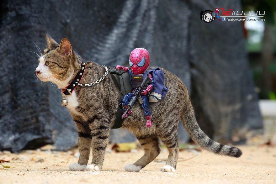 Artist Puts Baby Spiderman And Cats In The Funniest Scenarios (30 Pics) Artist Puts Baby Spiderman And Cats In The Funniest Scenarios (30 Pics)