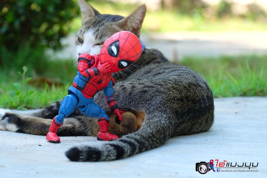 Artist Puts Baby Spiderman And Cats In The Funniest Scenarios (30 Pics) Artist Puts Baby Spiderman And Cats In The Funniest Scenarios (30 Pics)