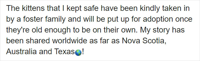 This Stray Dog Was Found Carrying Abandoned Kittens Off The Side Of The Road