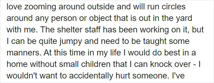 This Stray Dog Was Found Carrying Abandoned Kittens Off The Side Of The Road