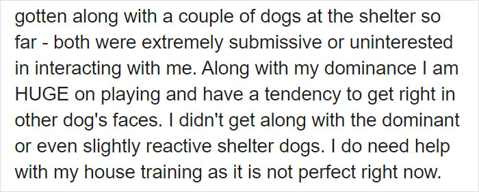 This Stray Dog Was Found Carrying Abandoned Kittens Off The Side Of The Road