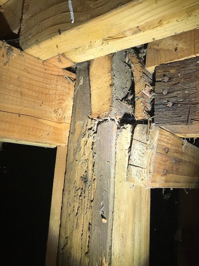 30 Worst Things Seen During Structural Inspections (New Pics) 30 Worst Things Seen During Structural Inspections (New Pics)