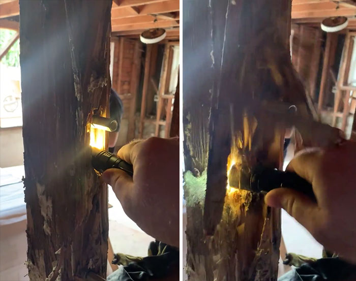 30 Worst Things Seen During Structural Inspections (New Pics) 30 Worst Things Seen During Structural Inspections (New Pics)