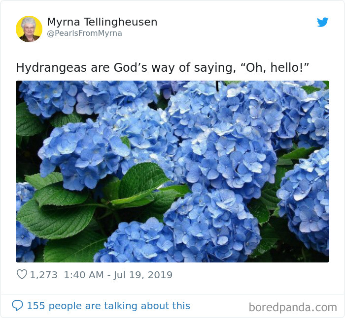 30 Times The Funniest Internet ‘Grandma’ Killed It With Her Tweets (New Pics) 30 Times The Funniest Internet ‘Grandma’ Killed It With Her Tweets (New Pics)