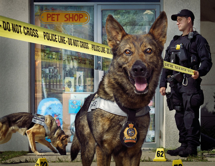 I Was Asked By The Waterloo Police To Make Them A Kickass Calendar, And Here Is The Result (14 Pics)