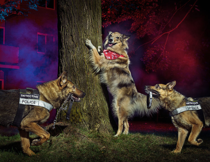 I Was Asked By The Waterloo Police To Make Them A Kickass Calendar, And Here Is The Result (14 Pics)