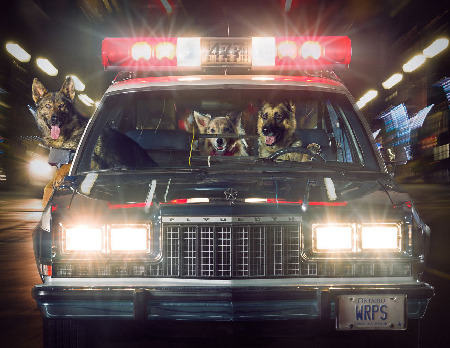 I Was Asked By The Waterloo Police To Make Them A Kickass Calendar, And Here Is The Result (14 Pics)