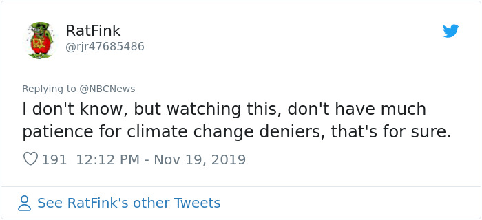 Woman Saves A Scorched And Screaming Koala With The Shirt Off Her Own Back Woman Saves A Scorched And Screaming Koala With The Shirt Off Her Own Back