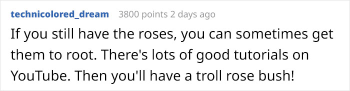 Woman Enrages Boyfriend’s Sexist Uncle By Bringing Flowers To A Family Get-Together Woman Enrages Boyfriend’s Sexist Uncle By Bringing Flowers To A Family Get-Together