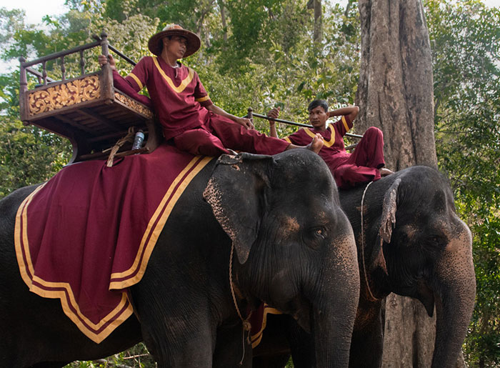 Angkor Wat Is Finally Putting A Stop To Its Elephant Rides Angkor Wat Is Finally Putting A Stop To Its Elephant Rides