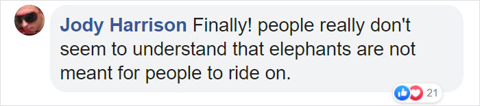 Angkor Wat Is Finally Putting A Stop To Its Elephant Rides Angkor Wat Is Finally Putting A Stop To Its Elephant Rides