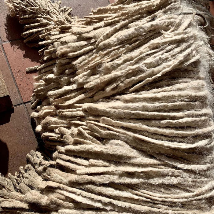 Mop Dog Named Hanga Goes Viral For Her Swimming Video And She&#8217;s Lucky Her Owner Is A Pet Groomer