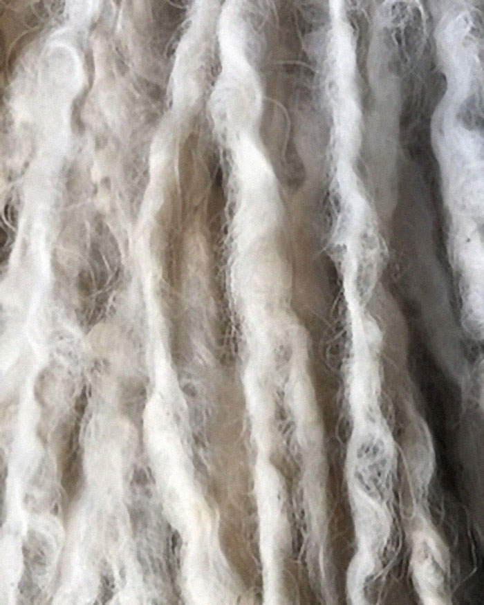 Mop Dog Named Hanga Goes Viral For Her Swimming Video And She&#8217;s Lucky Her Owner Is A Pet Groomer